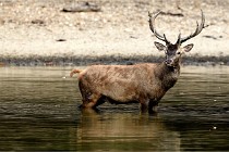 Boutissain D850 20-09-22 0306   Photos ACG 2020