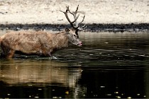 Boutissain D850 20-09-22 0321   Photos ACG 2020