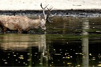 Boutissain D850 20-09-22 0328   Photos ACG 2020