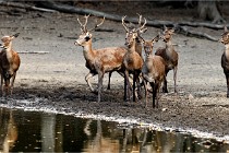 Boutissain D850 20-09-22 0337   Photos ACG 2020