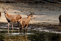 Boutissain D850 20-09-22 0352   Photos ACG 2020