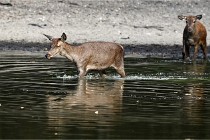 Boutissain D850 20-09-22 0363   Photos ACG 2020