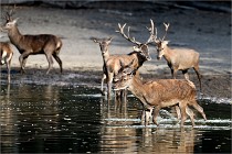 Boutissain D850 20-09-22 0365   Photos ACG 2020