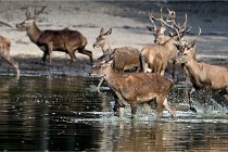 Boutissain D850 20-09-22 0370   Photos ACG 2020