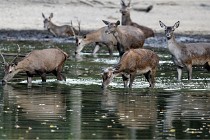 Boutissain D850 20-09-22 0381   Photos ACG 2020