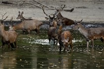 Boutissain D850 20-09-22 0387   Photos ACG 2020