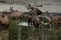 Boutissain D850 20-09-22 0390   Photos ACG 2020