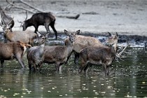 Boutissain D850 20-09-22 0412   Photos ACG 2020