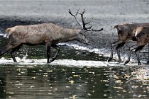 Boutissain D850 20-09-22 0418   Photos ACG 2020