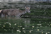 Boutissain D850 20-09-22 0425   Photos ACG 2020