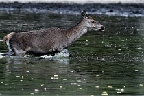 Boutissain D850 20-09-22 0431   Photos ACG 2020