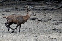 Boutissain D850 20-09-22 0434   Photos ACG 2020