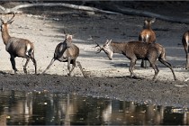 Boutissain D850 20-09-22 0452   Photos ACG 2020