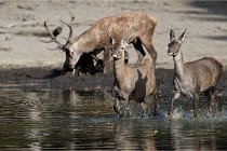 Boutissain D850 20-09-22 0489   Photos ACG 2020