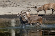 Boutissain D850 20-09-22 0495   Photos ACG 2020