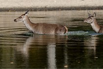 Boutissain D850 20-09-22 0501   Photos ACG 2020