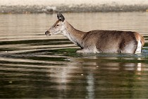 Boutissain D850 20-09-22 0503   Photos ACG 2020