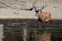 Boutissain D850 20-09-22 0527   Photos ACG 2020