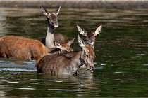 Boutissain D850 20-09-22 0544   Photos ACG 2020