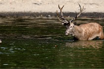 Boutissain D850 20-09-22 0548   Photos ACG 2020