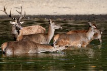 Boutissain D850 20-09-22 0576   Photos ACG 2020