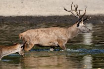 Boutissain D850 20-09-22 0600   Photos ACG 2020