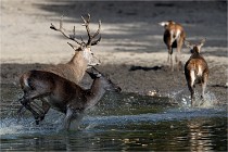 Boutissain D850 20-09-22 0610   Photos ACG 2020