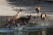 Boutissain D850 20-09-22 0611   Photos ACG 2020