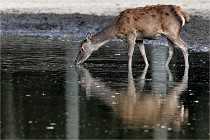 Boutissain D850 20-09-22 0639   Photos ACG 2020