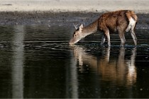 Boutissain D850 20-09-22 0646   Photos ACG 2020