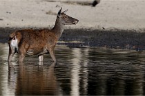 Boutissain D850 20-09-22 0650   Photos ACG 2020