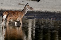 Boutissain D850 20-09-22 0660   Photos ACG 2020