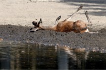 Boutissain D850 20-09-22 0666  01  Photos ACG 2020