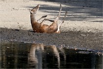 Boutissain D850 20-09-22 0667  01  Photos ACG 2020