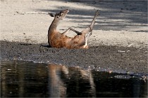 Boutissain D850 20-09-22 0668  01  Photos ACG 2020