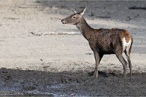 Boutissain D850 20-09-22 0676   Photos ACG 2020