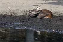 Boutissain D850 20-09-22 0688  01  Photos ACG 2020