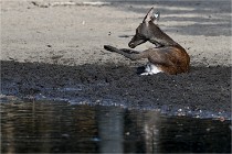 Boutissain D850 20-09-22 0693  01  Photos ACG 2020