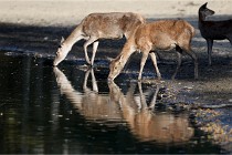 Boutissain D850 20-09-22 0722   Photos ACG 2020