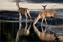 Boutissain D850 20-09-22 0730   Photos ACG 2020