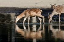 Boutissain D850 20-09-22 0733   Photos ACG 2020