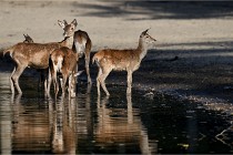 Boutissain D850 20-09-22 0760   Photos ACG 2020