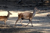 Boutissain D850 20-09-22 0772   Photos ACG 2020