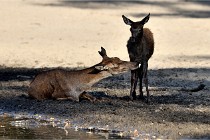 Boutissain D850 20-09-22 0792   Photos ACG 2020