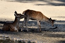 Boutissain D850 20-09-22 0808   Photos ACG 2020