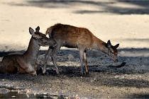 Boutissain D850 20-09-22 0811   Photos ACG 2020