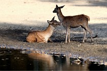 Boutissain D850 20-09-22 0837   Photos ACG 2020