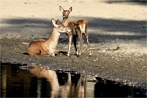 Boutissain D850 20-09-22 0913   Photos ACG 2020