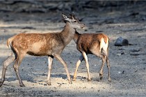 Boutissain D850 20-09-22 0988   Photos ACG 2020