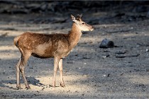 Boutissain D850 20-09-22 0992   Photos ACG 2020